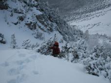 Klik za večjo sliko